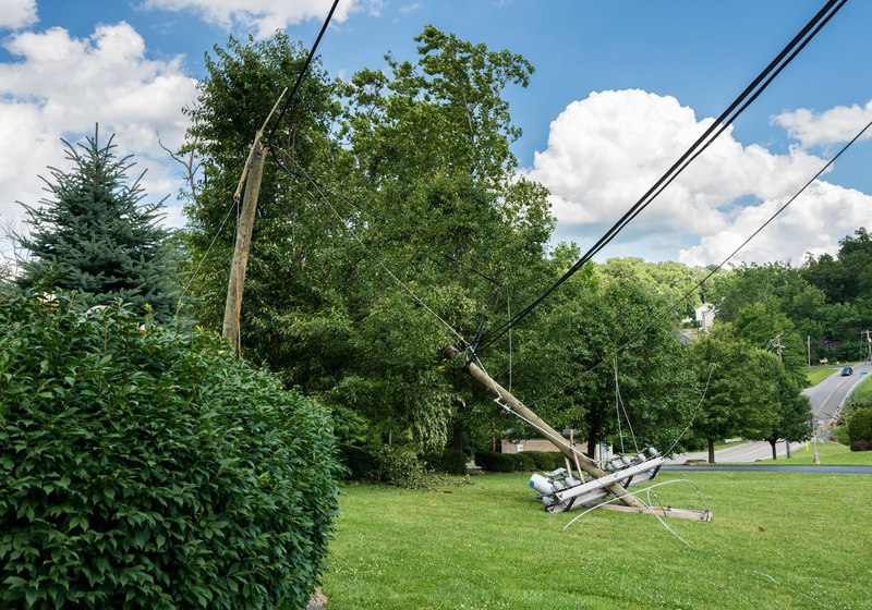 Due Diligence illustrated by photo of downed line